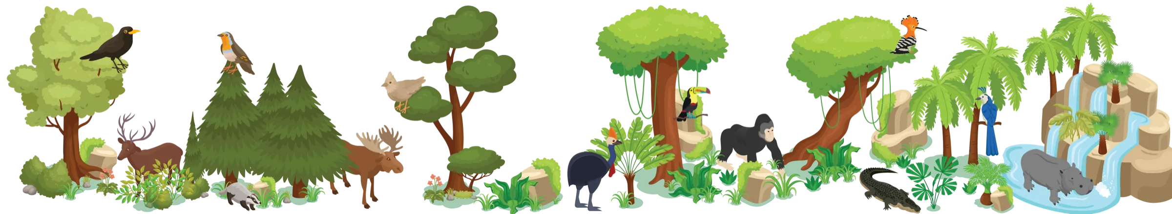 Birds from different regions gathered in a forest scene