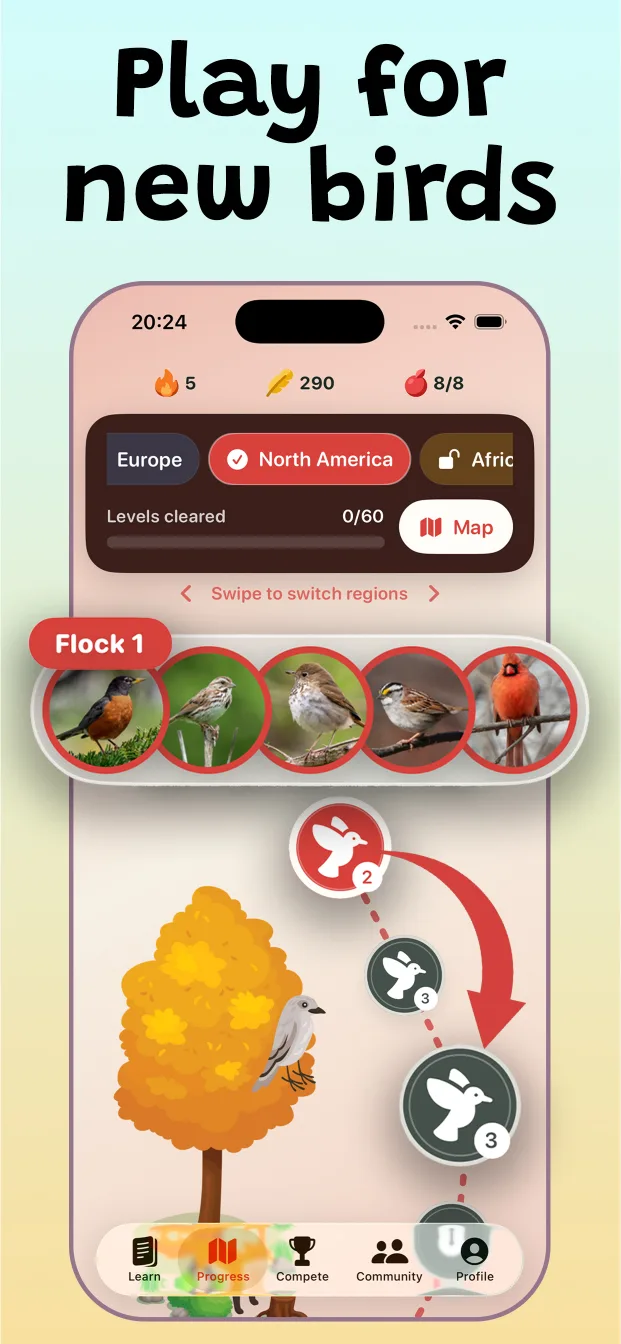 Syrinx learning map with regional flocks and bird levels