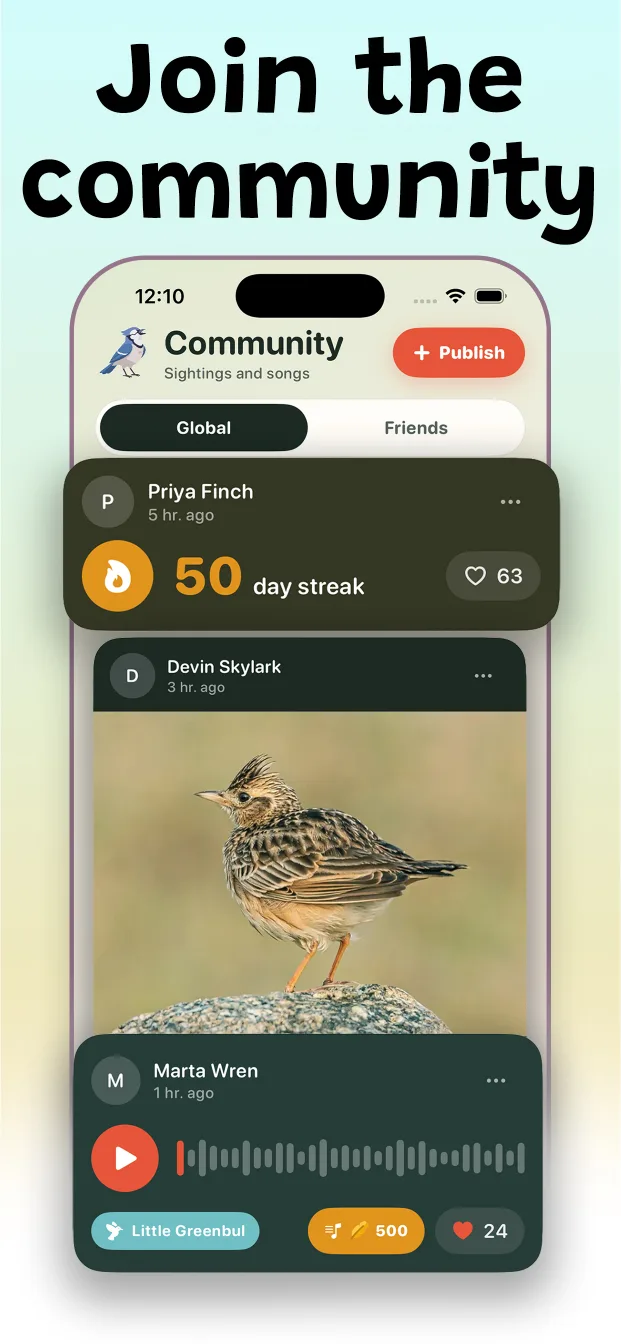Syrinx birding community with sightings and songs