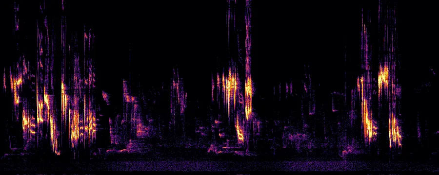 Spectrogram of a European Robin song showing thin notes across changing pitches